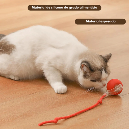 PetNova™ – Pelota Interactiva para Mascotas