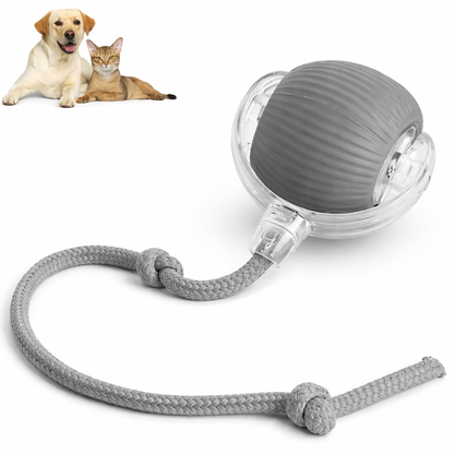 PetNova™ – Pelota Interactiva para Mascotas