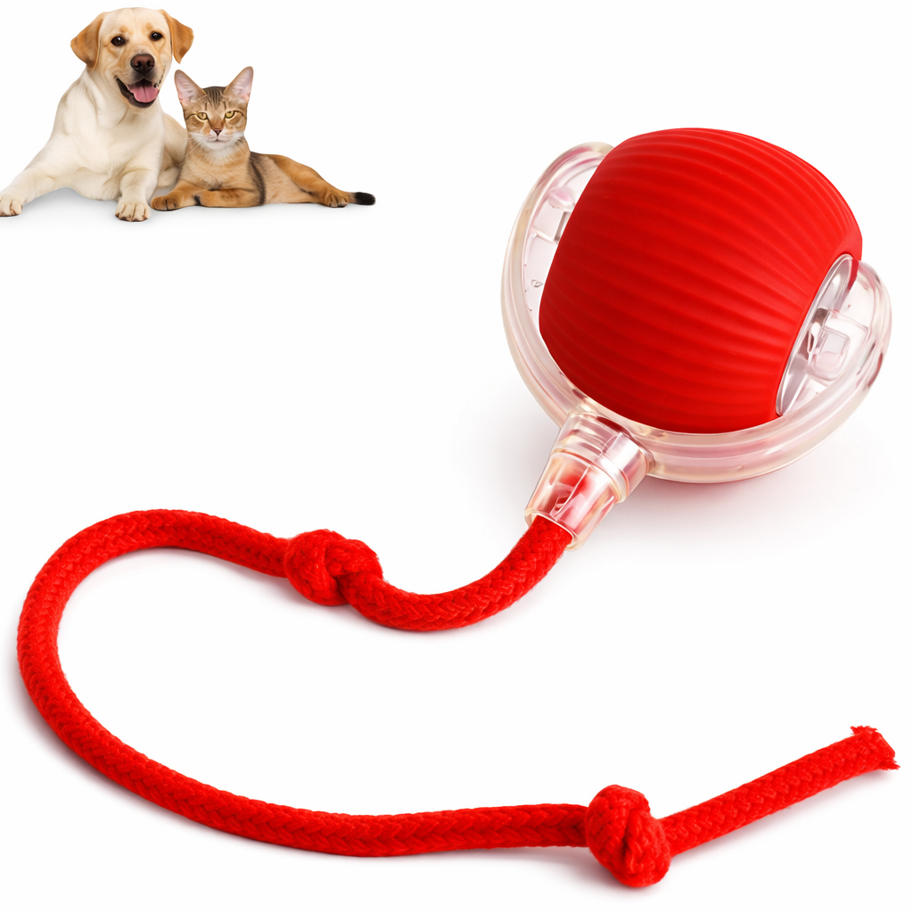 PetNova™ – Pelota Interactiva para Mascotas