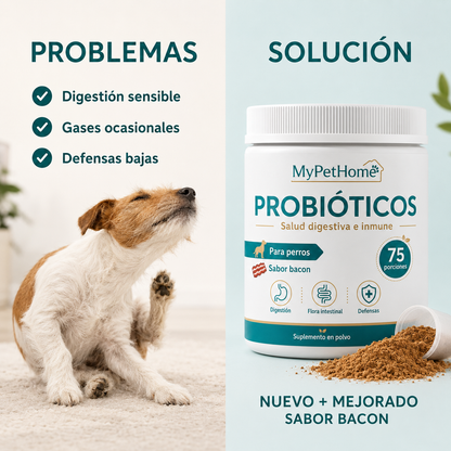 Probióticos para Perros en Polvo – Salud Digestiva y Flora Intestinal | MyPetHome