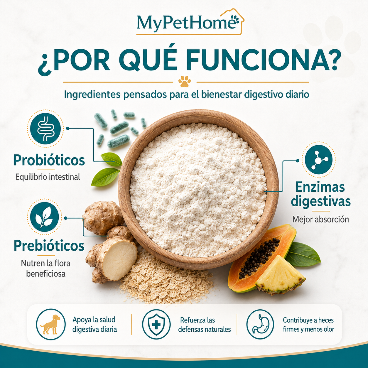 Probióticos para Perros en Polvo – Salud Digestiva y Flora Intestinal | MyPetHome