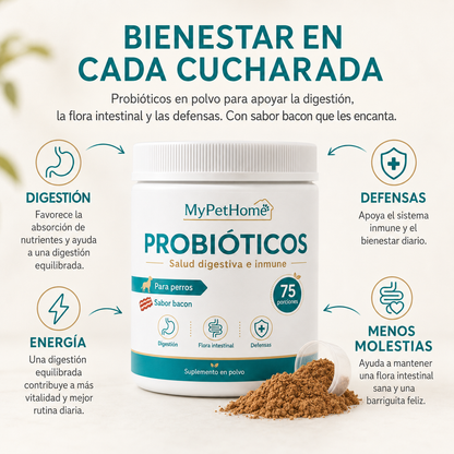 Probióticos para Perros en Polvo – Salud Digestiva y Flora Intestinal | MyPetHome