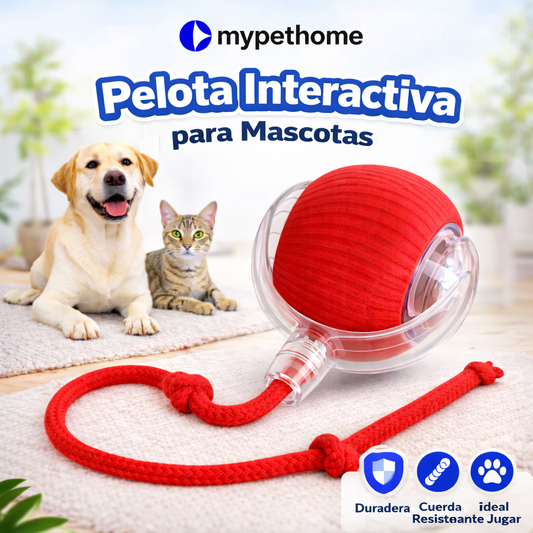 PetNova™ – Pelota Interactiva para Mascotas